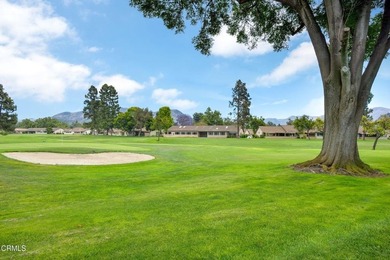 Step into 23115 Village 23 and feel the rare sense of privacy - photo 28
