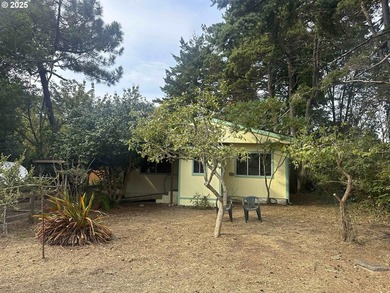Own a sweet beach cottage just moments from the park, lake and - photo 10
