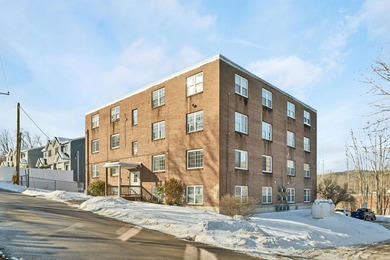 (private lake, pond, creek) Condo For Sale in Bristol New Hampshire