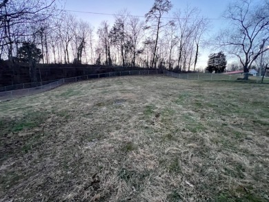 Beautiful Home -Wooded View - Back Waters of Norris Lake - photo 8