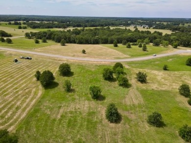 Off-Water Lot in Newer Subdivision on the Youngest Lake in Texas! - Lake Lot SOLD! in Streetman, Texas