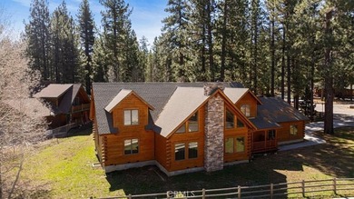 42133 Brownie - photo 8