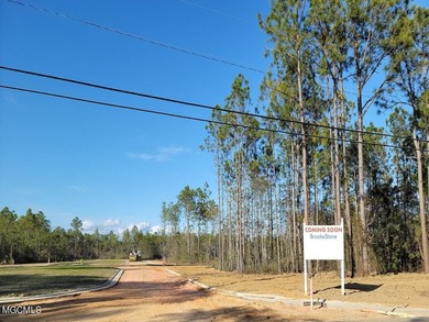 Welcome to the newest neighborhood on ''The Island'' Brookestone - photo 9