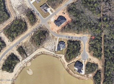Welcome to the newest neighborhood on ''The Island'' Brookestone - photo 1