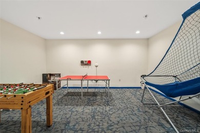 Welcome to The Lofts at New Roc, a stunning 2-bedroom, 2-bath - photo 25