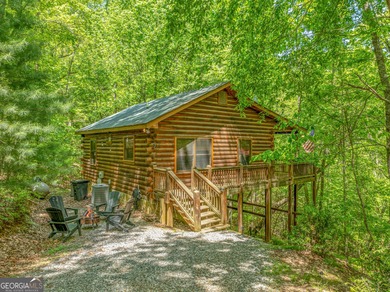 Cherry Log Lake Home For Sale in Blue Ridge Georgia
