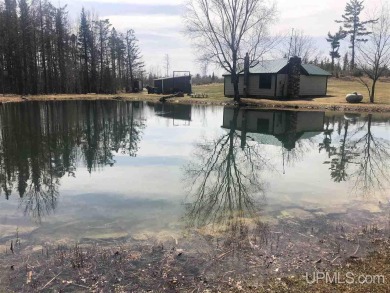 (private lake, pond, creek) Home Sale Pending in Perronville Michigan