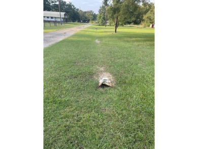 Richland Chambers Lake Lot For Sale in Streetman Texas