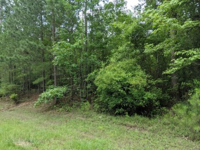 2.63 acres wooded lot perfect to build your dream home! Lake - Lake Acreage For Sale in Lincolnton, Georgia