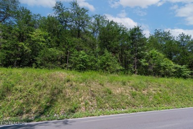 Lake Acreage For Sale in Sevierville, Tennessee