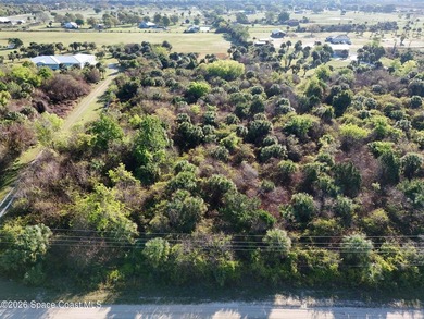 2.5 Acres of Peaceful Country Living - 6215 Dixie Way, Mims If - photo 3