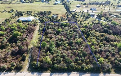 2.5 Acres of Peaceful Country Living - 6215 Dixie Way, Mims If - photo 4