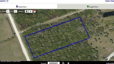 2.5 Acres of Peaceful Country Living - 6215 Dixie Way, Mims If - photo 5