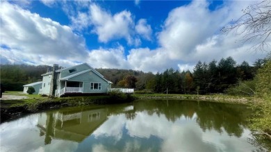 (private lake, pond, creek) Home For Sale in Roscoe New York