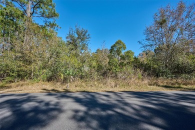 Lake Weohyakapka Lot For Sale in Indian Lake Estates Florida