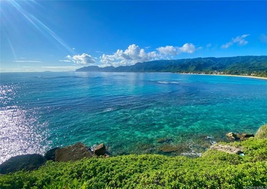 Live your Hawaii dream in this gated oceanfront compound - photo 17