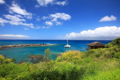 Located in a private and serene portion of The Resort at Kapalua - photo 38