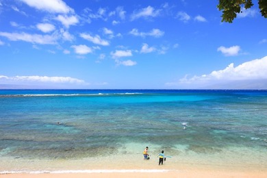 Located in a private and serene portion of The Resort at Kapalua - photo 46
