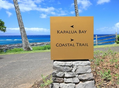 Located in a private and serene portion of The Resort at Kapalua - photo 50