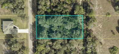 Lehigh Acres Area Lot For Sale in Lehigh Acres Florida