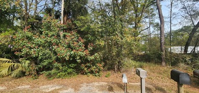 Additional listing photo 3