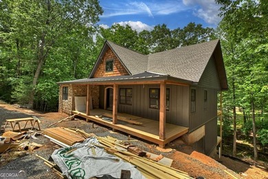 (private lake, pond, coastal) Home For Sale in Ellijay Georgia