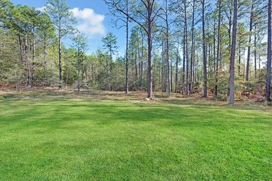 Secluded Haven in Rayburn Country, a pristine gem of new - photo 21