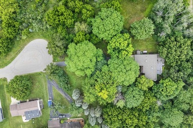 Discover this 2,800 sq ft wood clad contemporary nestled on one - photo 45