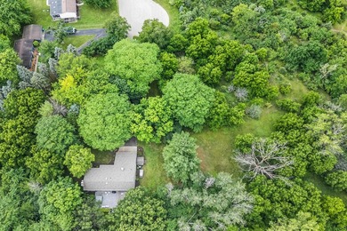 Discover this 2,800 sq ft wood clad contemporary nestled on one - photo 46