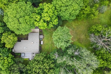 Discover this 2,800 sq ft wood clad contemporary nestled on one - photo 47