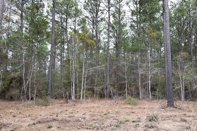 Lake Sam Rayburn  Acreage For Sale in Broaddus Texas