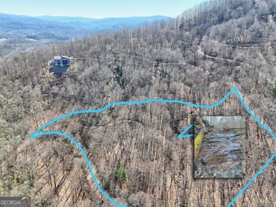 Lake Lot For Sale in Tiger, Georgia
