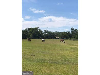 Not every great homesite is defined by what's in front of it - photo 15