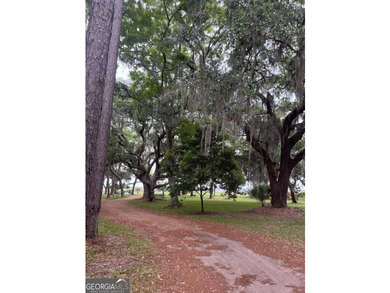 Not every great homesite is defined by what's in front of it - photo 20