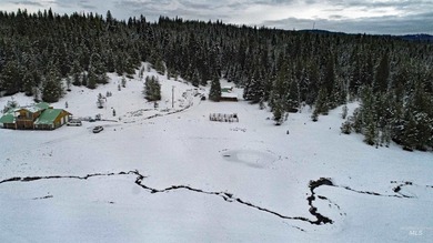 (private lake, pond, creek) Home For Sale in Elk City Idaho