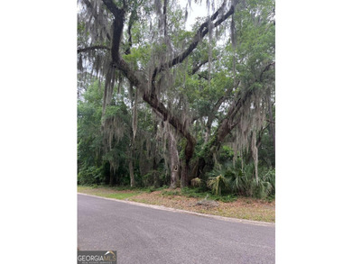 Not every great homesite is defined by what's in front of it - photo 22