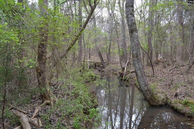 Lake Murray Acreage For Sale in Irmo South Carolina