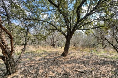 Over 10 acres at one of the higher elevations in the Marble - photo 9