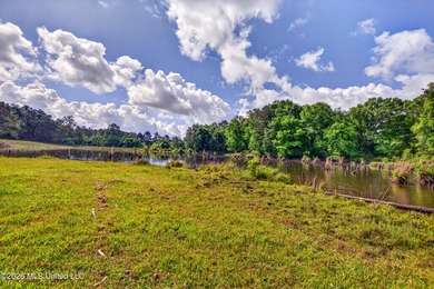 PRICED UNDER APPRAISAL VALUE - DON'T MISS THIS INCREDIBLE - photo 48