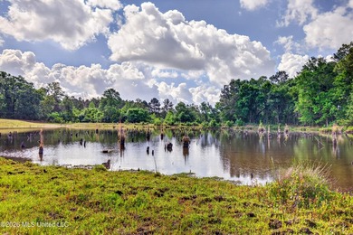 PRICED UNDER APPRAISAL VALUE - DON'T MISS THIS INCREDIBLE - photo 49