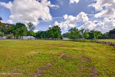 PRICED UNDER APPRAISAL VALUE - DON'T MISS THIS INCREDIBLE - photo 50