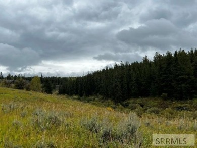 Lake Acreage For Sale in Ashton, Idaho