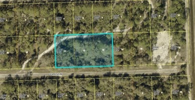 Lehigh Acres Area Lot For Sale in Lehigh Acres Florida