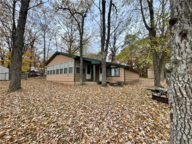 Lower Twin Lake Home For Sale in Menahga Minnesota