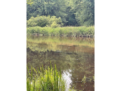 (private lake, pond, creek) Lot For Sale in Athelstane Wisconsin