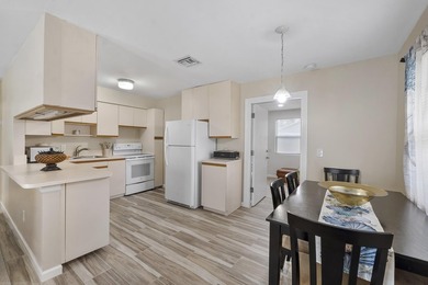 Beautiful and versatile property located in a quiet no-HOA - photo 11
