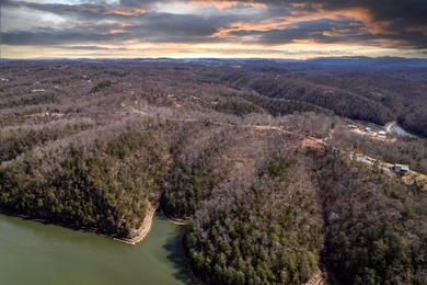 Premier Investment Opportunity - 133+/- Unrestricted Acres - photo 13