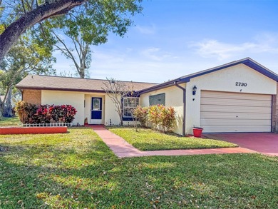 Lake Tarpon Home Sale Pending in Palm Harbor Florida