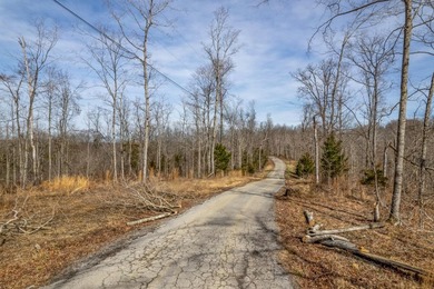 Premier Investment Opportunity - 133+/- Unrestricted Acres - photo 23