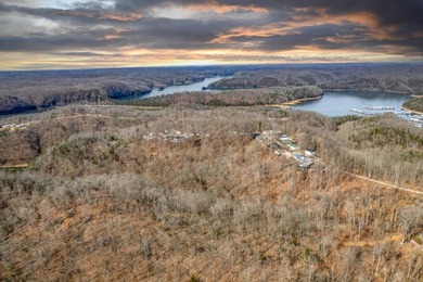 Premier Investment Opportunity - 133+/- Unrestricted Acres - photo 25